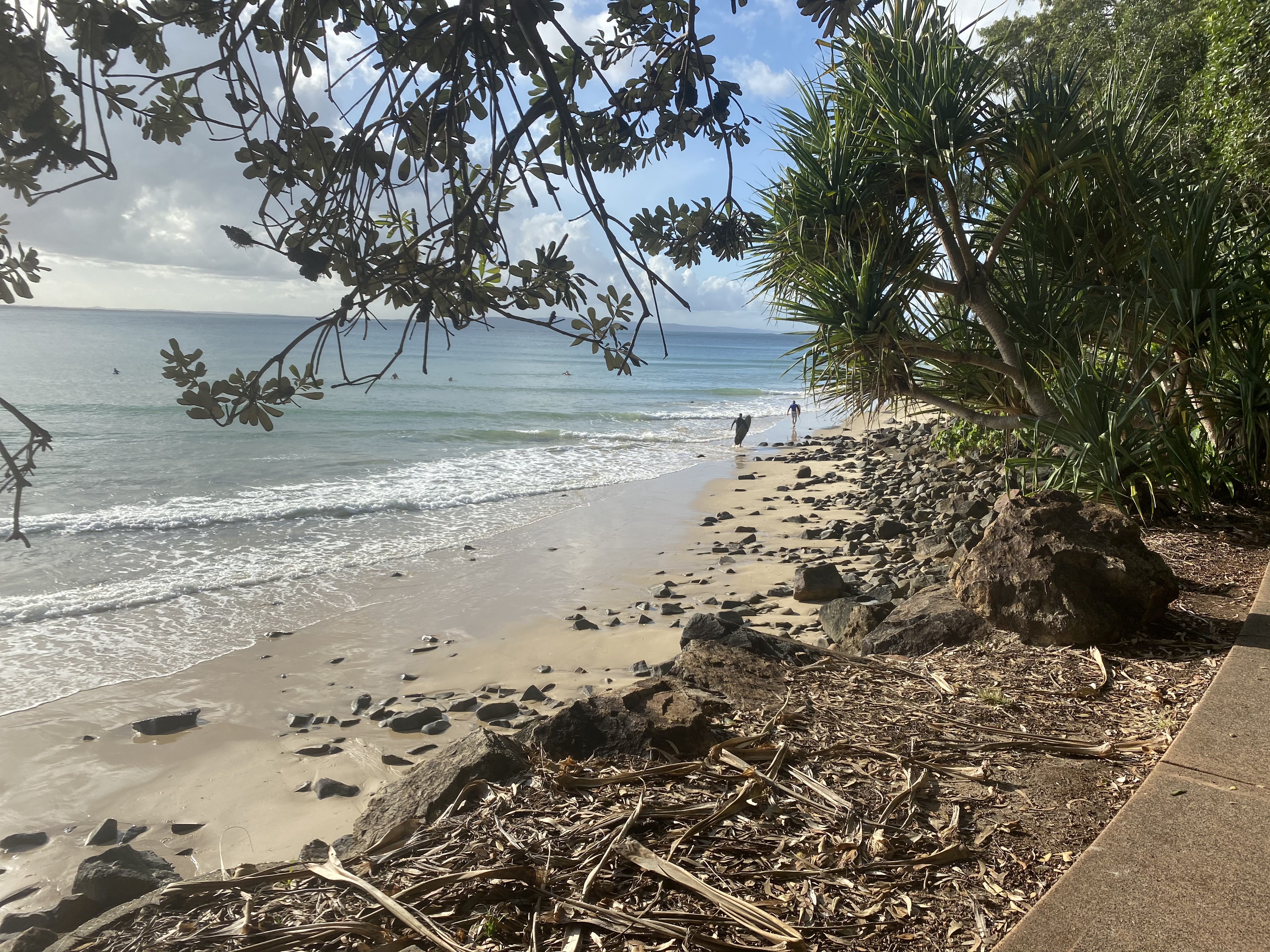 noosa