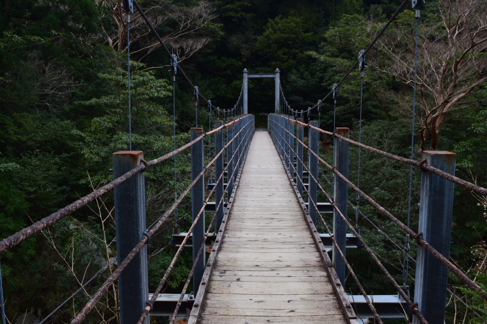 橋